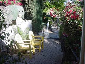 Looking Out of SunRoom